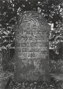3221 Joodse begraafplaats. Grafstenen