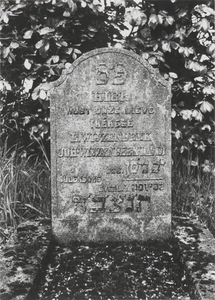 3222 Joodse begraafplaats. Grafstenen