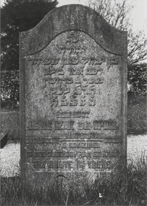 3242 Joodse begraafplaats. Grafstenen