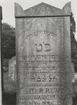 3273 Joodse begraafplaats. Grafstenen