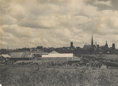 3596 Landbouwtentoonstelling 1931. Westersingel het Wezel 