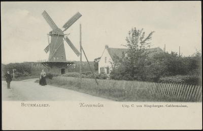 224 De korenmolen in Buurmalsen. Govert Slob was hier van 1900 tot 1919 korenmolenaar. De molen is in 1929 afgebroken