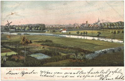 1035 Een prentbriefkaart van Culemborg in een vogelvlucht gezicht gezien vanaf de spoorweg