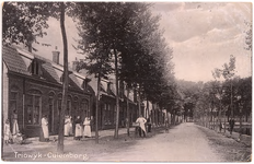 1121 Een prentbriefkaart van de Triowijk in Culemborg met enkele poserende passanten en buurtbewoners en rechts de ...
