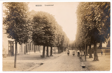 1140 Een prentbriefkaart van de Voorstraat in Beesd met enkele dorpsjongeren, en links boven de bomen nog net te zien ...