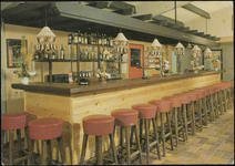 738 Kleur. afbeelding van de bar
