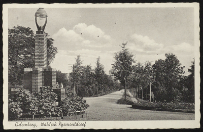 1786 Ingang van de Waldeck Pyrmontdreef vanaf het Voorburg. De huidige eikenbomen zijn nog jong.