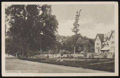 1791 Villa Sprokkelenburg uit 1910. In gebruik geweest als schoolgebouw. Nu weer particulier bewoond.