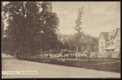 1797 Villa Sprokkelenburg uit 1910. In gebruik geweest als schoolgebouw. Nu weer particulier bewoond.