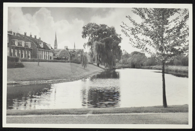 1899 Huizen aan de Oosterwal met op de voorgrond de zogenaamde Studentengracht. Foto genomen vanaf de Dr, Hockesingel.