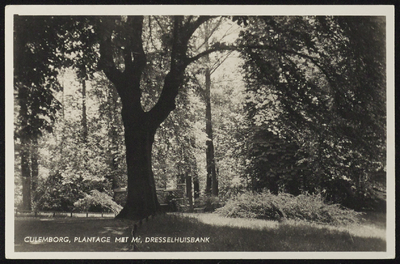 1934 Bank in het stadspark de Plantage ter herinnering aan mr. H. Dresselhuys, liberaal staatsman uit de Culemborgse ...