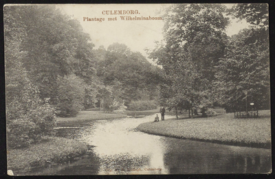 1939 Stadspark de Plantage met de ter gelegenheid van de kroning van koningin Wilhelmina geplante boom.