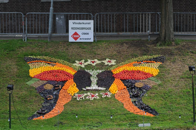 1004 Mozaiëken Fruitcorso 2013. Mozaiek met als titel Vlinderkunst , gemaakt door Reddingsbrigade Tiel. Gesponsord door ...