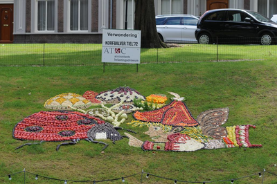 1019 Mozaiëken Fruitcorso 2013. Mozaiek met als titel Verwondering , gemaakt door Korfbalvereniging Tiel 72. Gesponsord ...