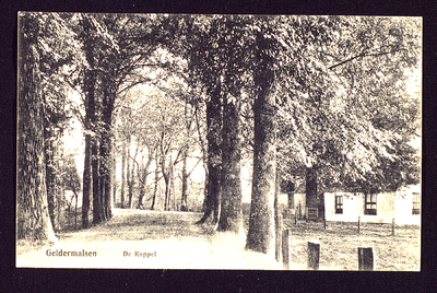 215 Koppelsedijk Foto is gemaakt vanaf begin Koppelsedijk in de richting van de Kerkstraat. Rechts het huis van de ...