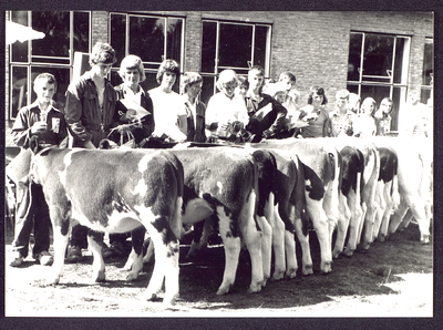 349 Landbouwschool Kalveropfokwedstrijd.