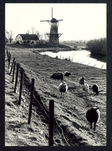 3015 Deil - Korenmolen 'De Vlinder' Foto is gemaakt ten behoeve van de verkiezing welk dorp de nominatie 'Parel van ...