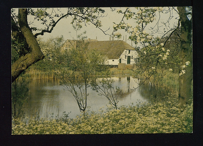 3046 Beesd - Boerderij 'De Mouwe' aan de Notendijk.