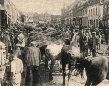 183 Paardenmarkt