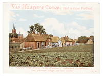 41 Van Houten's Cocao: Outside Hedel, Betuwe, in the Province of Gelderland (Netherlands). Some picturesque cottages ...