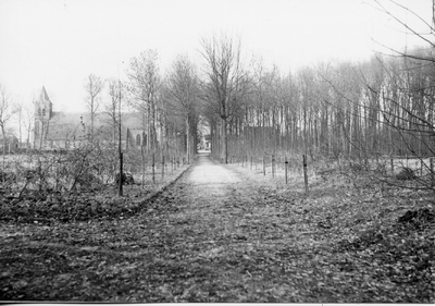 6-15077 Brakelse Bos. zicht op N.H. Kerk