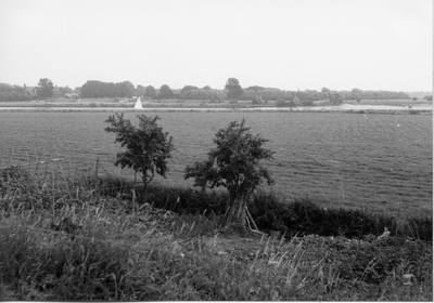 10-15011 Molendijk met gezicht op de uiterwaarden en de Maas, met aan de overzijde van de rivier Grevecoeur.