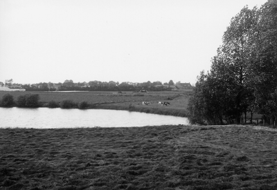 10-15012 Dronkaardswiel nabij de splitsing Hondsneststraat - Maasdijk.