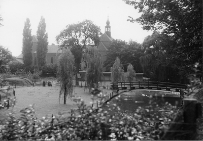 10-15037 Klein dierenpark met op de achtergrond een gedeelte van de RK Willibrorduskerk.