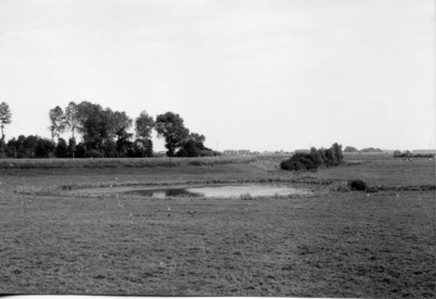 10-15048 Maasdijk met een klein wiel, gezien in de richting van de A2.