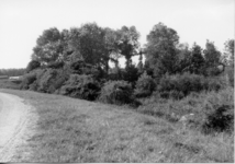 10-15052 Maasdijk, gezien in de richting van het dorp, met rechts een bossage.