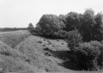 10-15054 Maasdijk, gezien in de richting van het dorp.