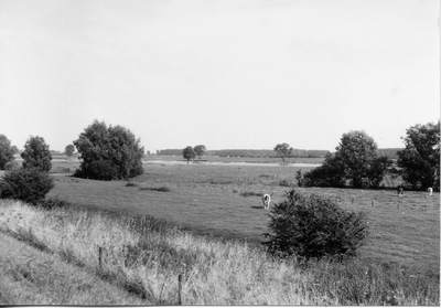 10-15055 Maasdijk, met gezicht op de uiterwaarden en de Maas.