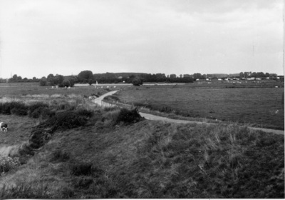 14-15096 Zicht op de dode Maasarm met aan de overkant het dorp Alem.