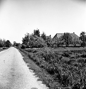 11-444 Boomgaard met boerderij