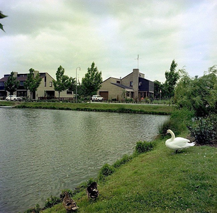 19-1648 Vijver Torenlaan-Hogeweg