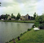 19-1648 Vijver Torenlaan-Hogeweg