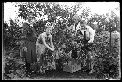 22-9555 Twee kinderen (mogelijk Christina en Gijsbert Stappershoef) en twee en twee vrouwen in een appelboomgaard
