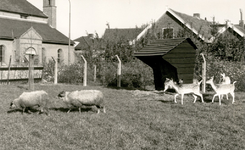14-404 Het hertenkamp in Kerkdriel.