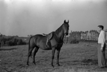 16-357 Opname van een paard. Opschrift 'paarden van de heren Otjens en Van Driel
