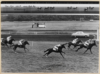 05_008_R_01 Duindigt. Troc prijs 1350 m. Mystic Boy wint (1e prijs â ƒ 700)