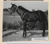 06_005_L_05 Nebraska