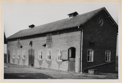 07_006_L_01 De Lange stal op De Rietschoof. Ingebruik genomen op 1 oktober 1956