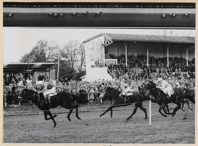 08_003_R_01 Duindigt. Hollandse Handicap 1800 m. 2 jarigen. Mystic Boy wint (1e prijs â ƒ 1500)