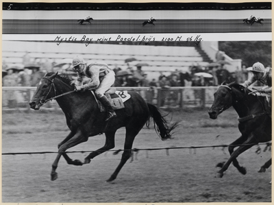 10_021_L_01 Duindigt. Poedel prijs 2100 m. Mystic Boy wint (1e prijs â ƒ 900)