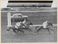 11_017_L_01 Duindigt.Majesto prijs 1900 m. Marina wint (1e prijs â ƒ 900)