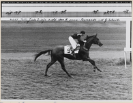 13_015_L_01 Duindigt. Jolly Jinks S prijs 1900 m. Toumando wint