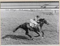 13_015_R_01 Duindigt. AVA prijs 1800 m. Ragged Robin wint