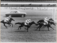 13_016_R_01 Duindigt. Derby 2400 m. Perseus wint, Honeysuckle Rose wordt tweede