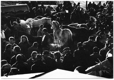 10-10091 Paardenmarkt.