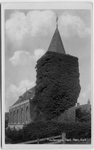 18-10045 Hervormde kerk, toren geheel begroeid